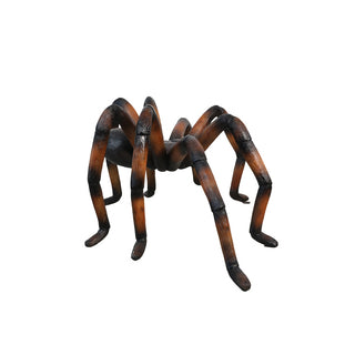 Recluse Spider Brown