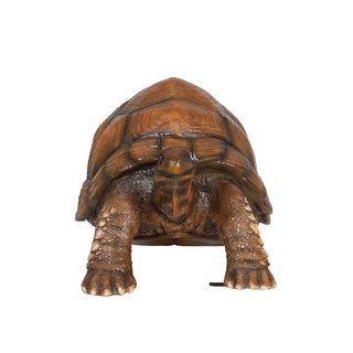 Tortoise
