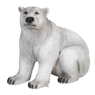 Polar Bear Sitting