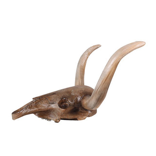 Bull Skull