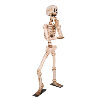 Skeleton Wondering 7ft