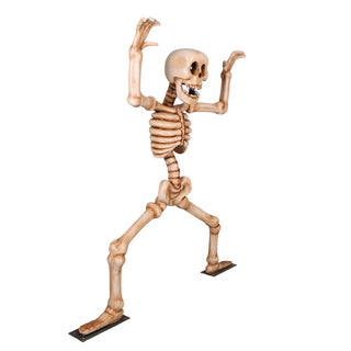 Skeleton Squating 7ft