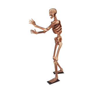 Skeleton 180 "Arms out"