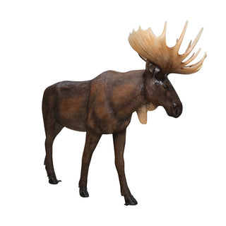 Elk