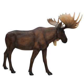 Elk