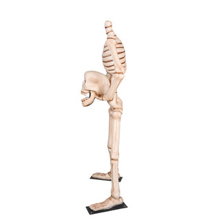Skeleton Holding Head 7ft