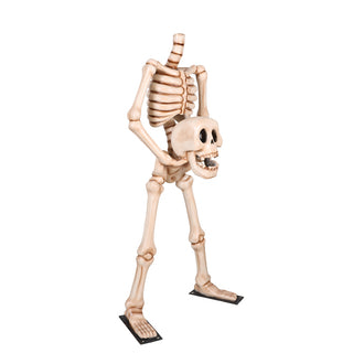 Skeleton Holding Head 7ft