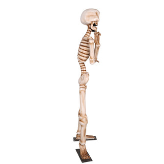 Skeleton Wondering 7ft