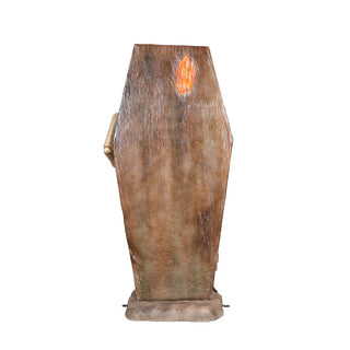 SKELETON IN THE COFFIN