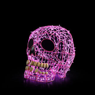 Skull Pink
