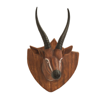 Gazelle Trophy Head