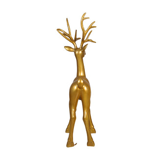 GOLD STAG