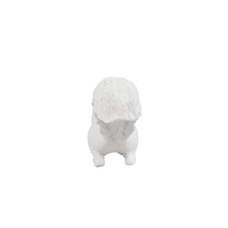 SQUIRREL 4 (WHITE)