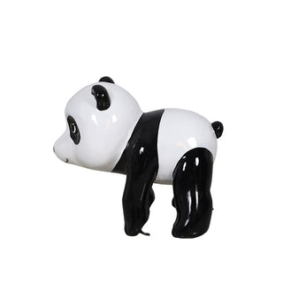 Panda Cub On Adventure