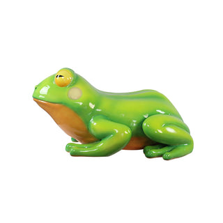 Oranged-Eyed Tree Frog