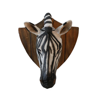 Zebra Trophy Head