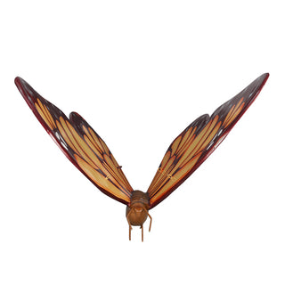 Big Orange Butterfly