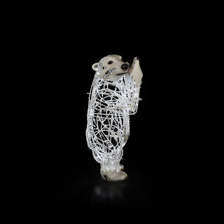 Polar Bear Baby, Standing