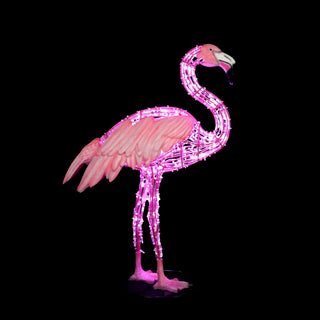 FLAMINGO STANDING