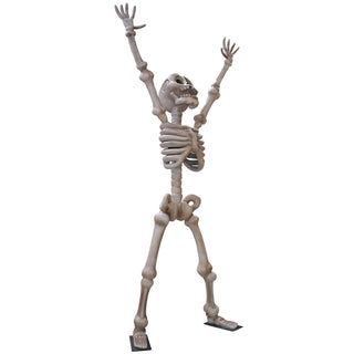 Skeleton 3,5m "Happy"