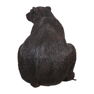 American Black Bear, Sitting