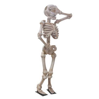 Skeleton 3.5m "Shy"