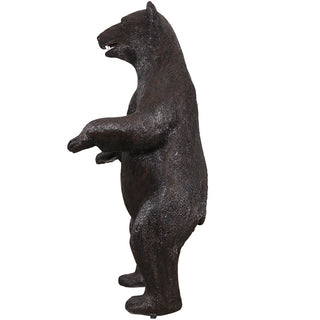 American Black Bear, Standing