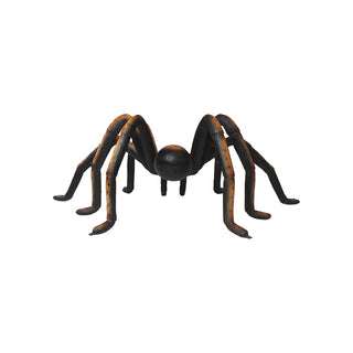Recluse Spider Black