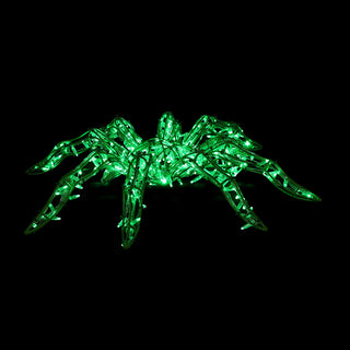 Spider Green