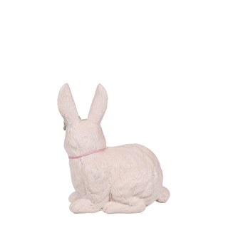 WHITE BUNNY LAYING