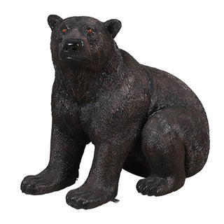 American Black Bear, Sitting