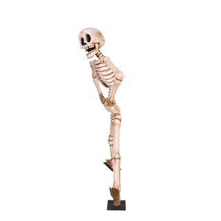 Skeleton Hokey Pokey 7ft